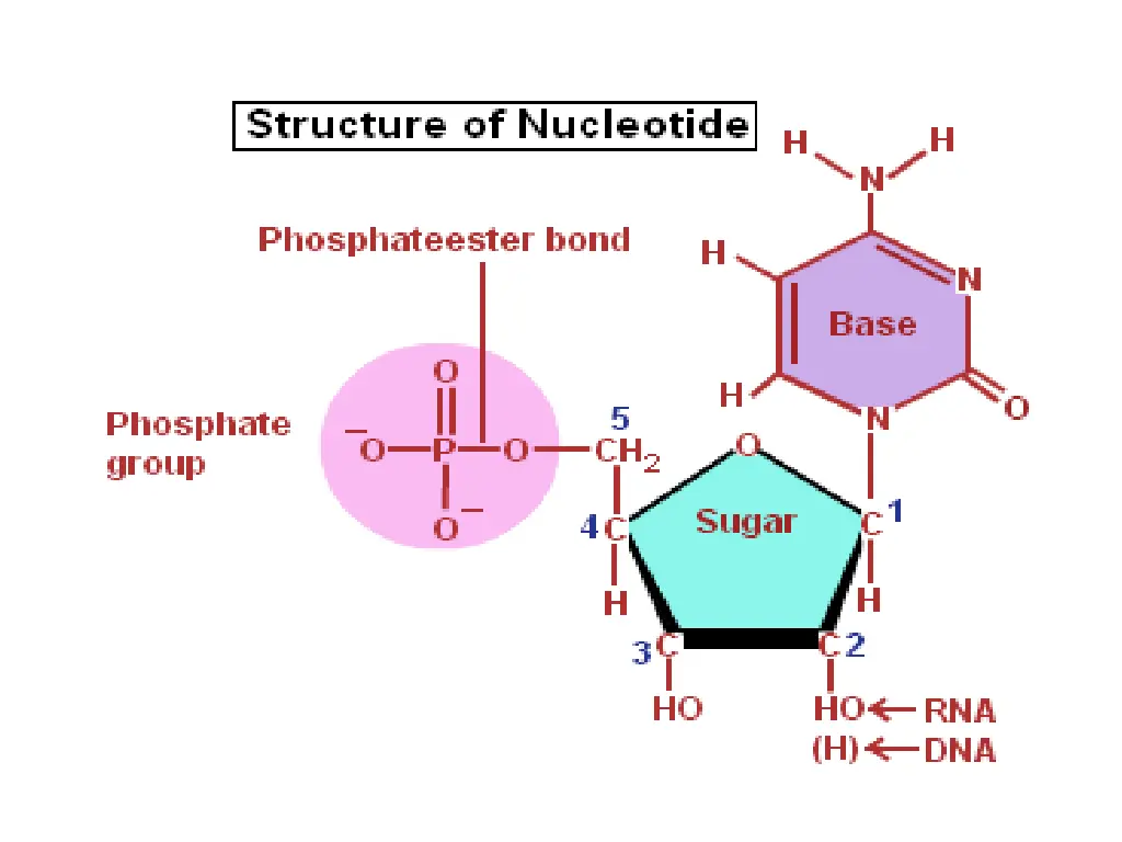 slide3