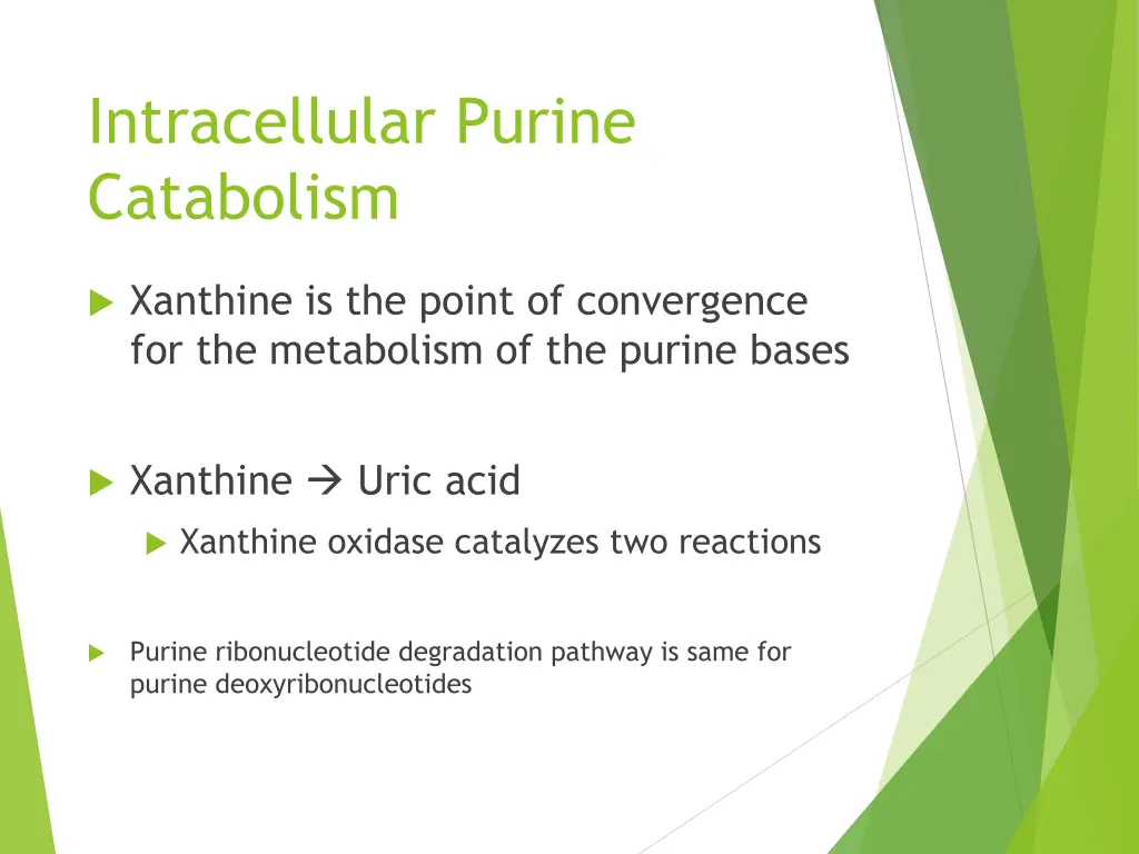 intracellular purine catabolism