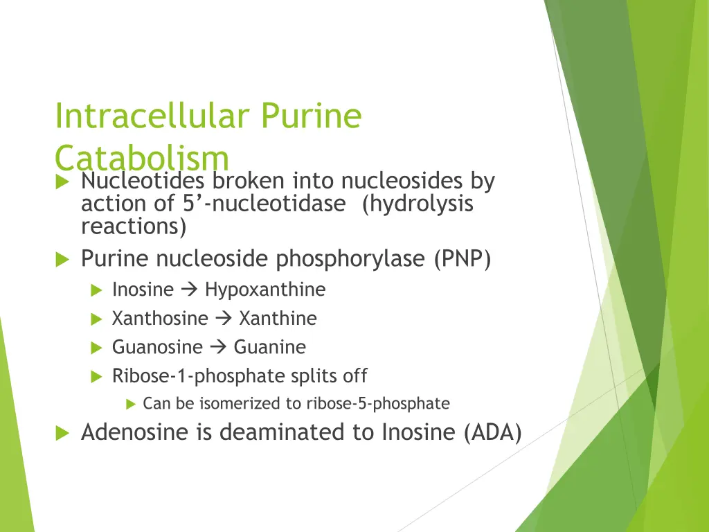 intracellular purine catabolism nucleotides