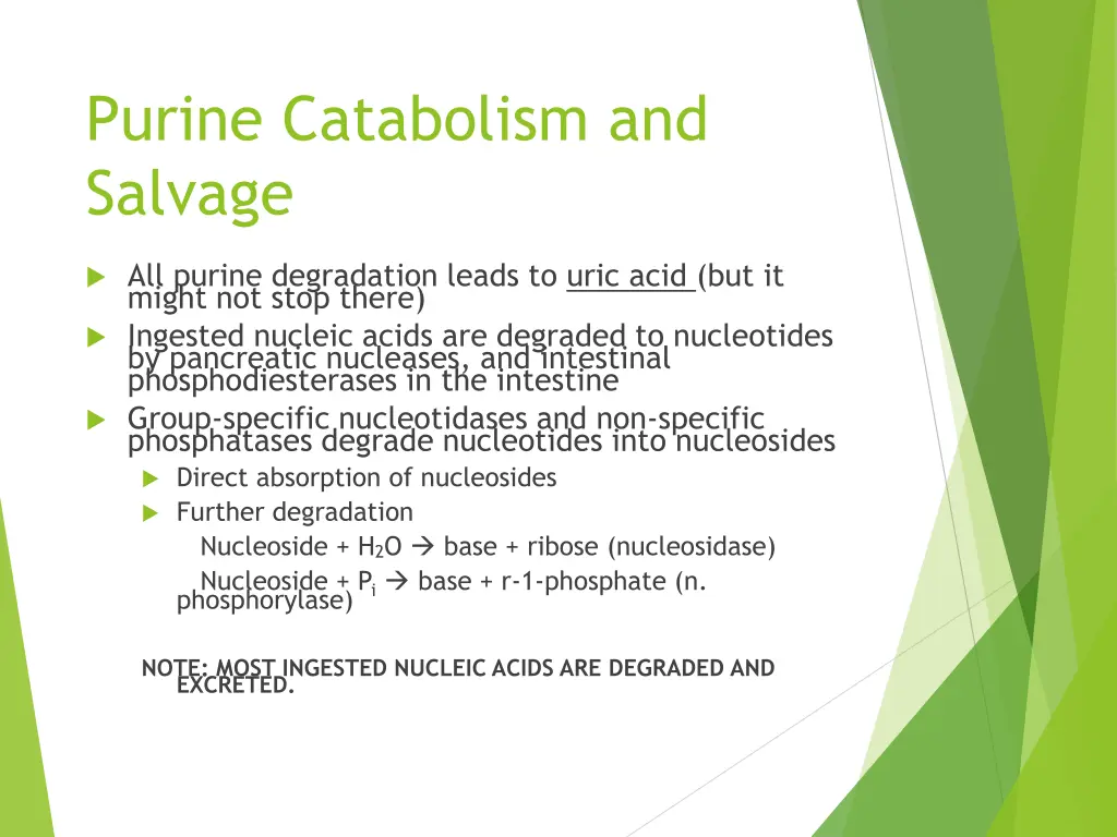 purine catabolism and salvage