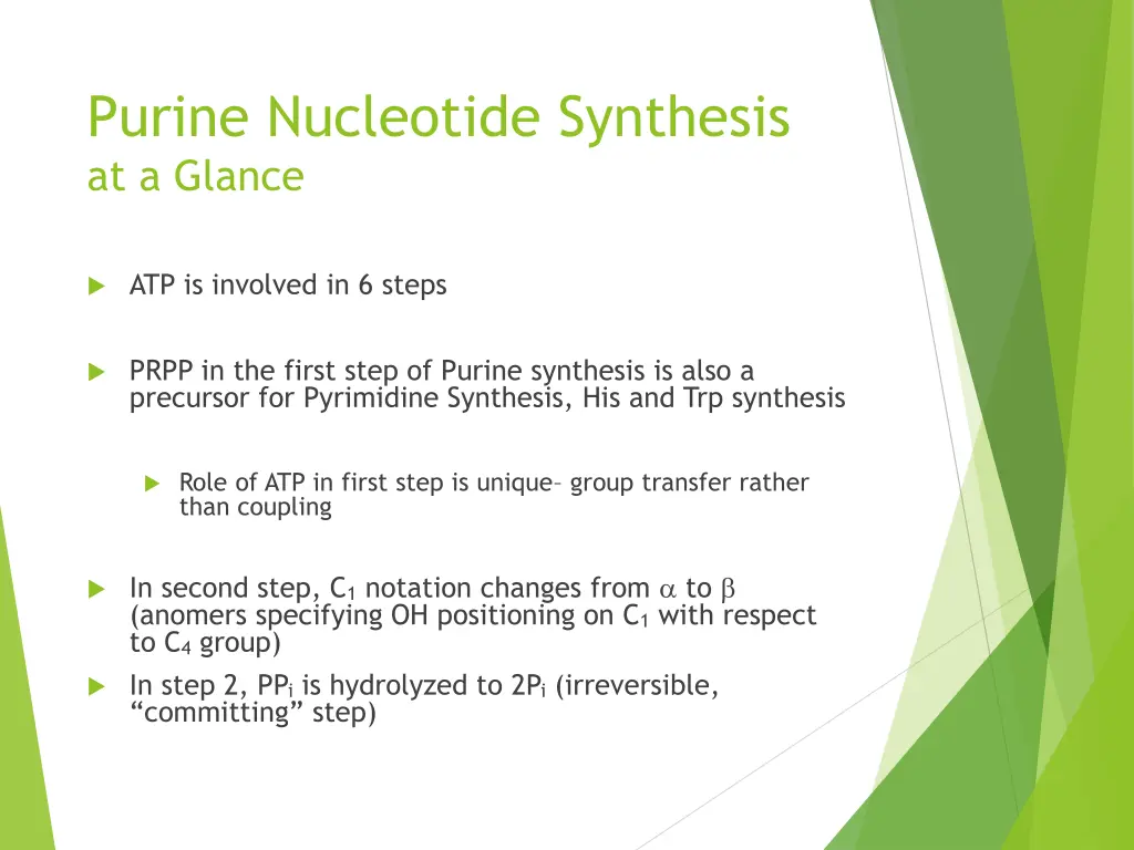 purine nucleotide synthesis at a glance