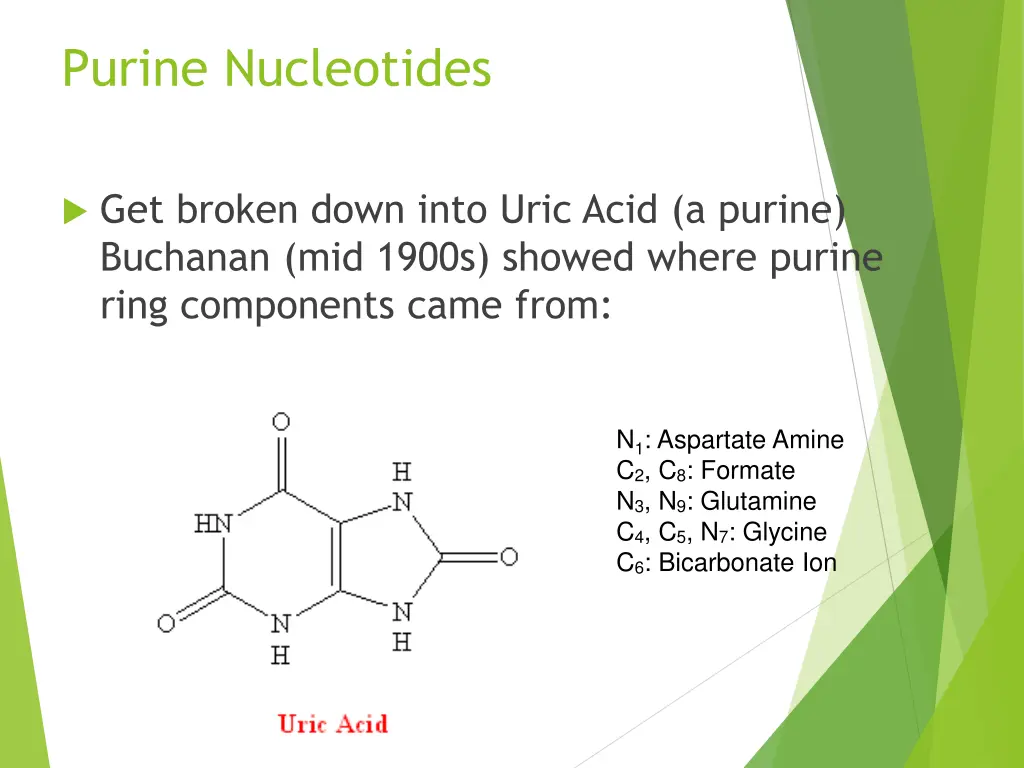 purine nucleotides