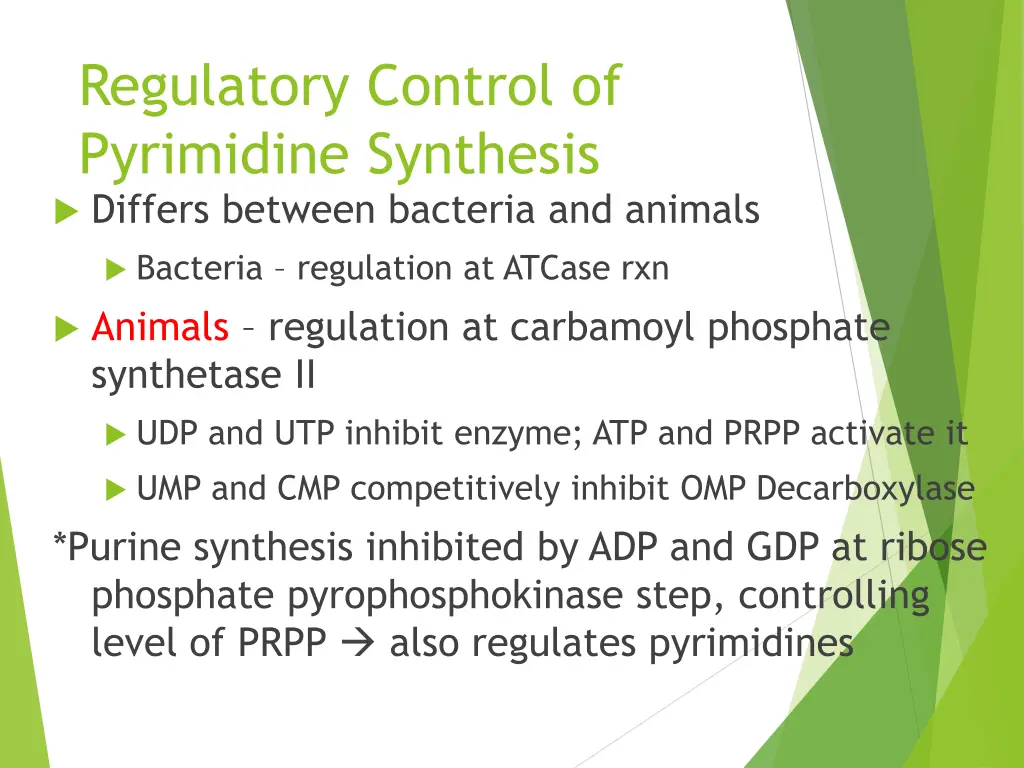 regulatory control of pyrimidine synthesis