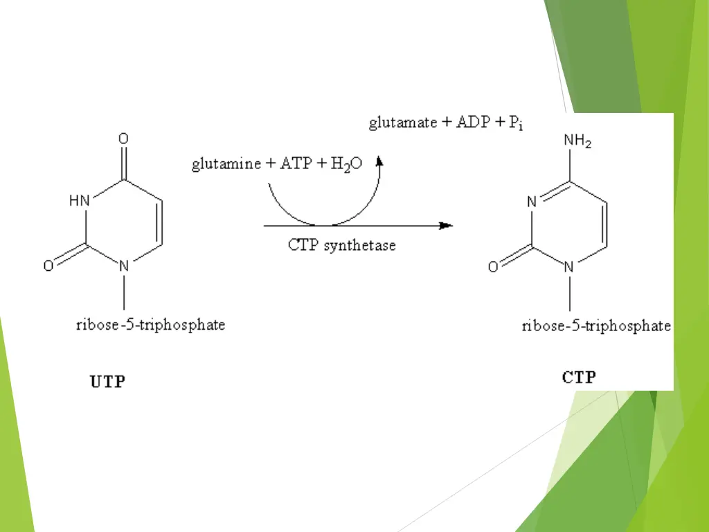 slide21