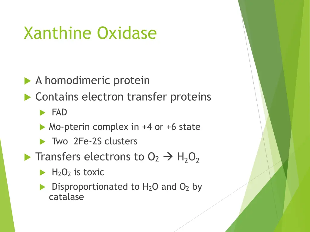 xanthine oxidase