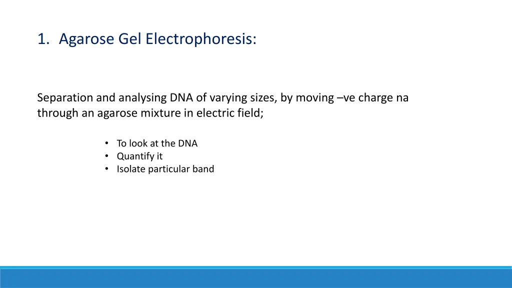 1 agarose gel electrophoresis