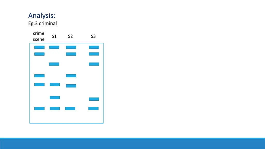 analysis eg 3 criminal crime scene