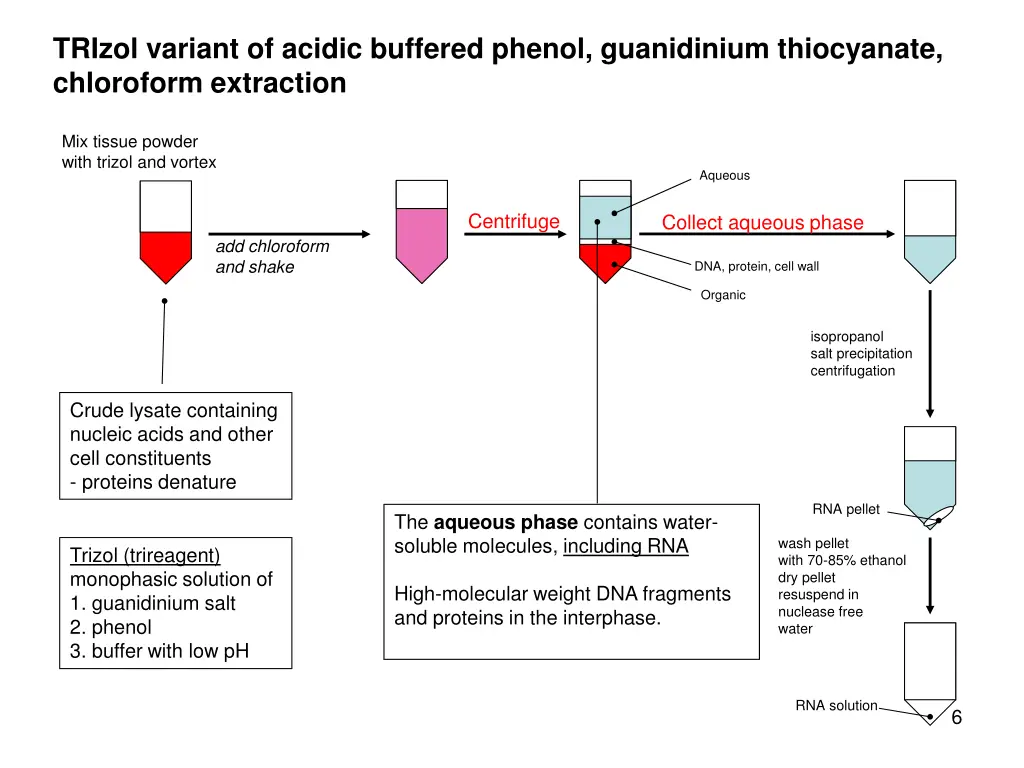 trizol variant of acidic buffered phenol