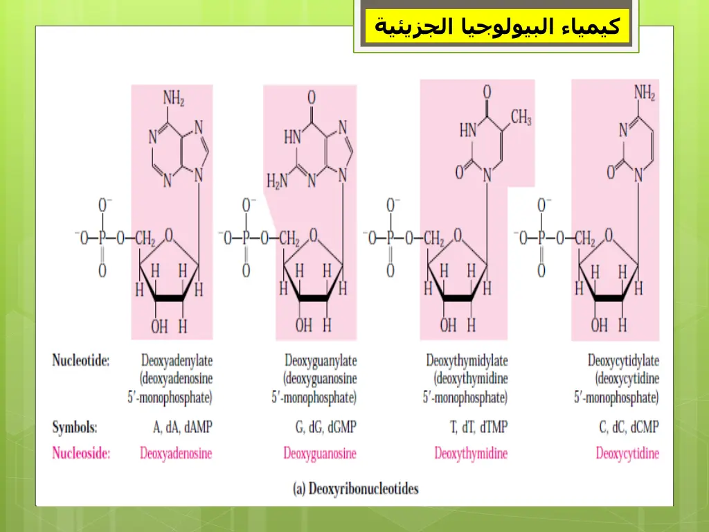 slide10