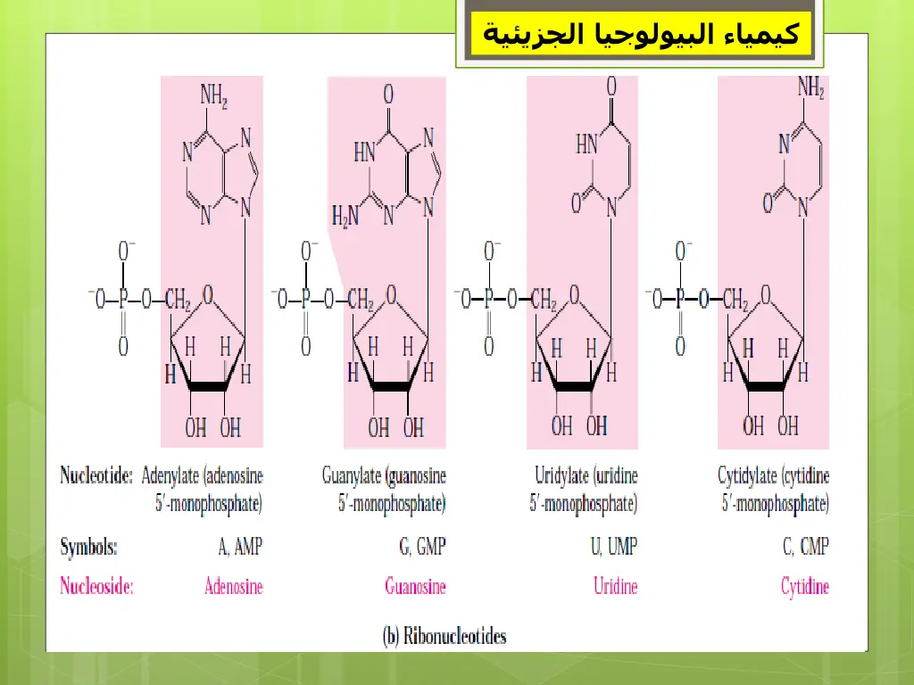 slide11