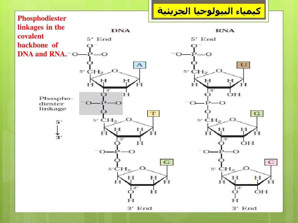 slide16