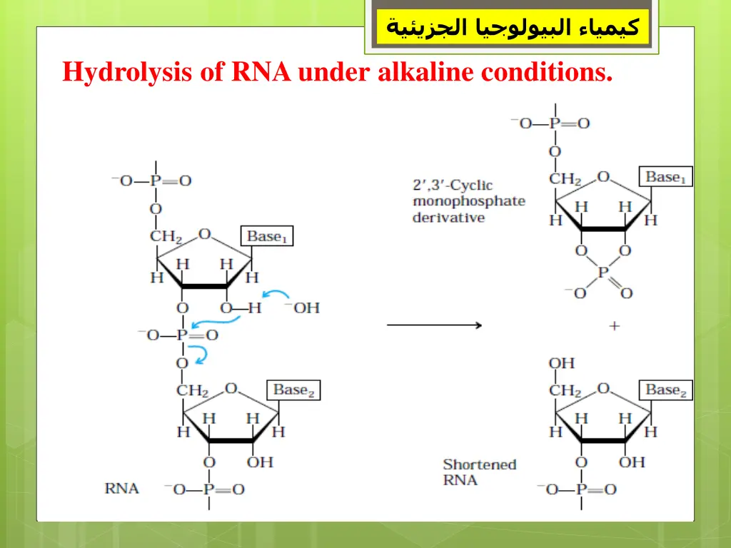 slide18