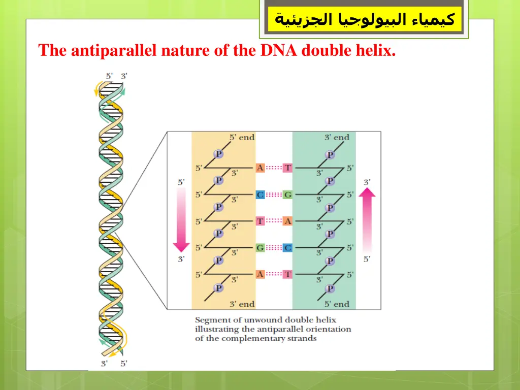 slide19