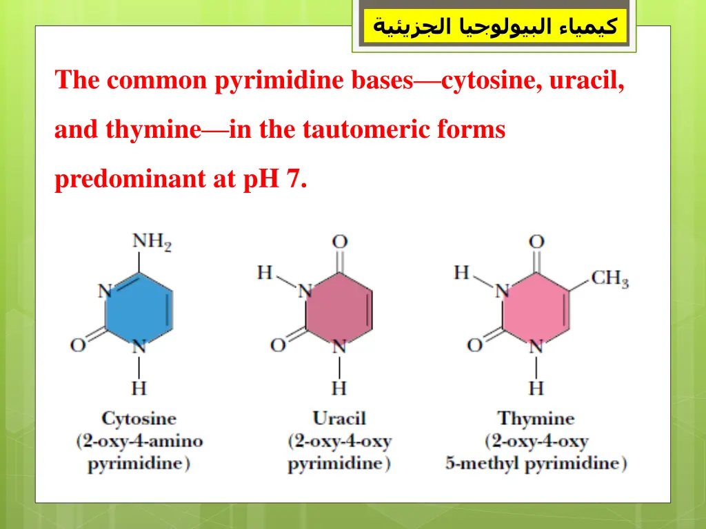 slide4