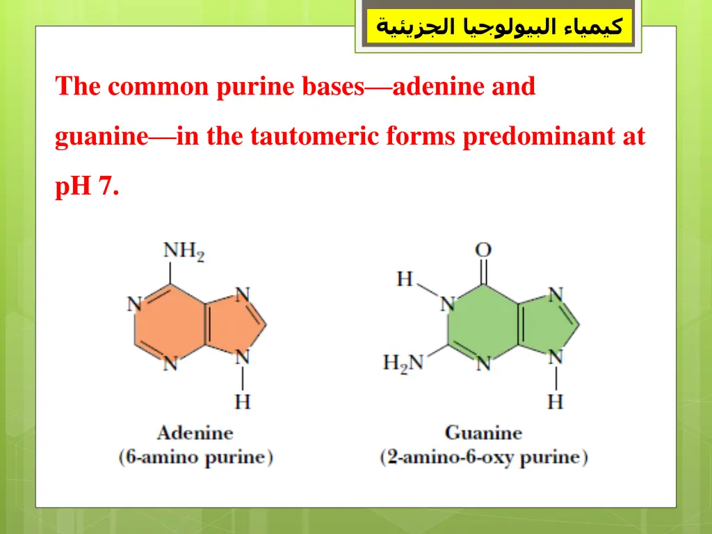 slide5