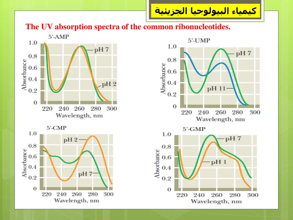 slide7