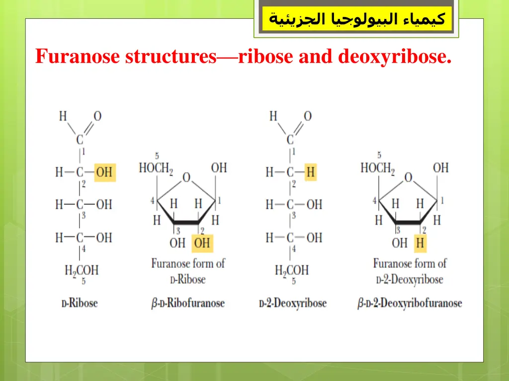 slide8