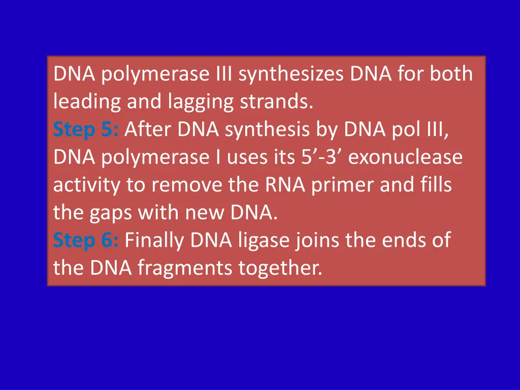 dna polymerase iii synthesizes dna for both