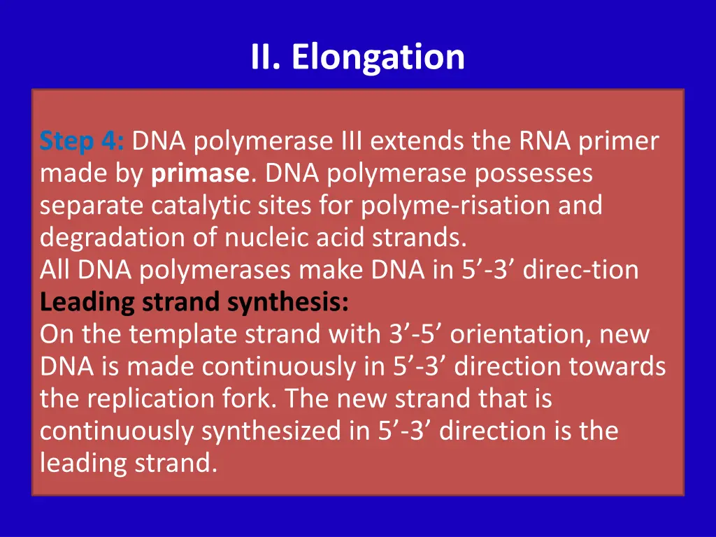 ii elongation