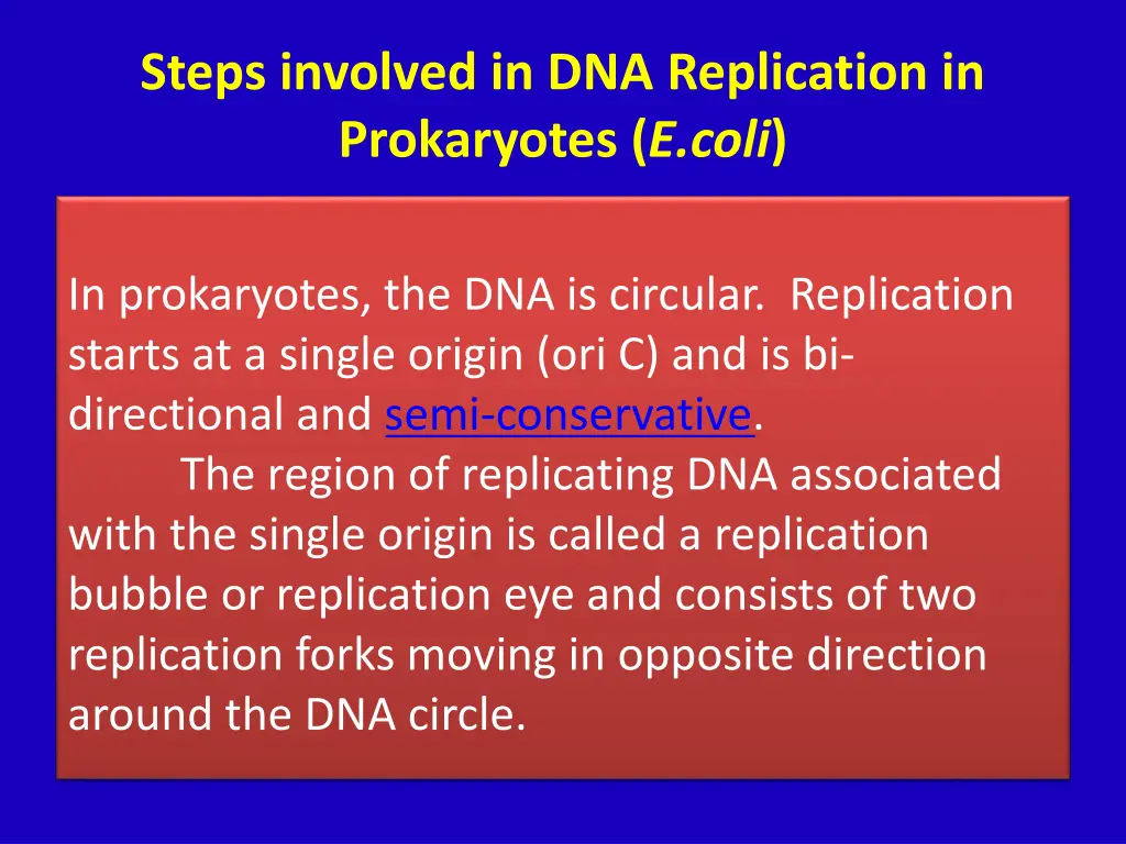 steps involved in dna replication in prokaryotes