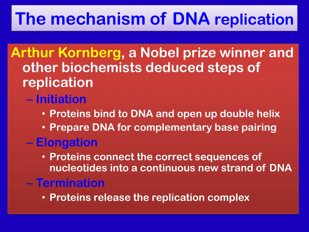 the mechanism of dna replication