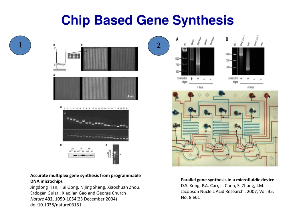 chip based gene synthesis