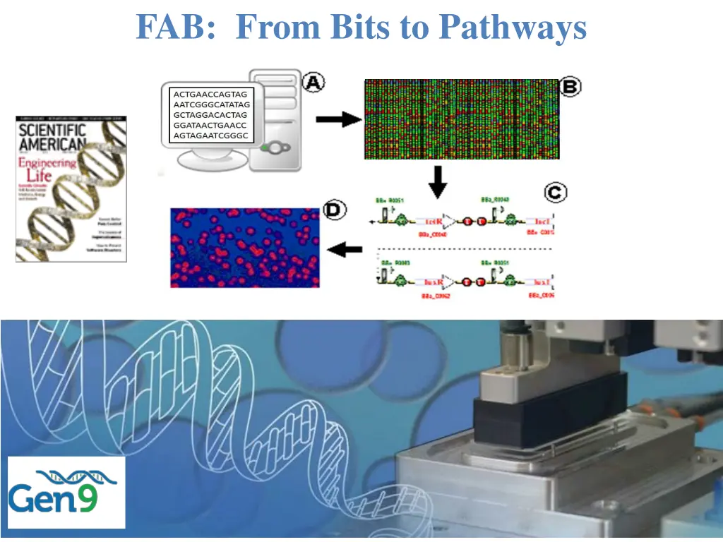 fab from bits to pathways