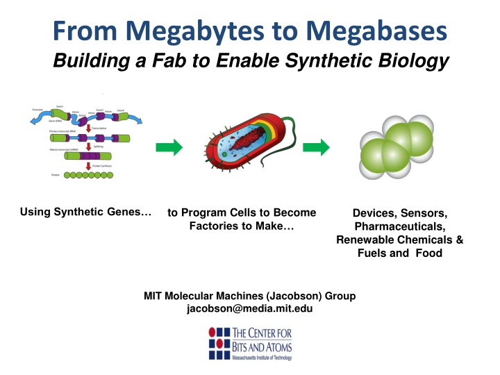 from megabytes to megabases building