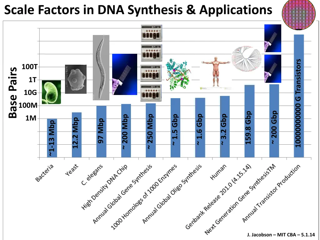 scale factors in dna synthesis applications