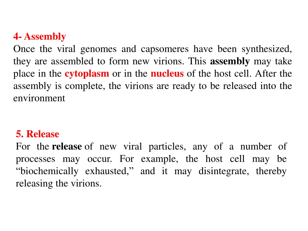 4 assembly once the viral genomes and capsomeres