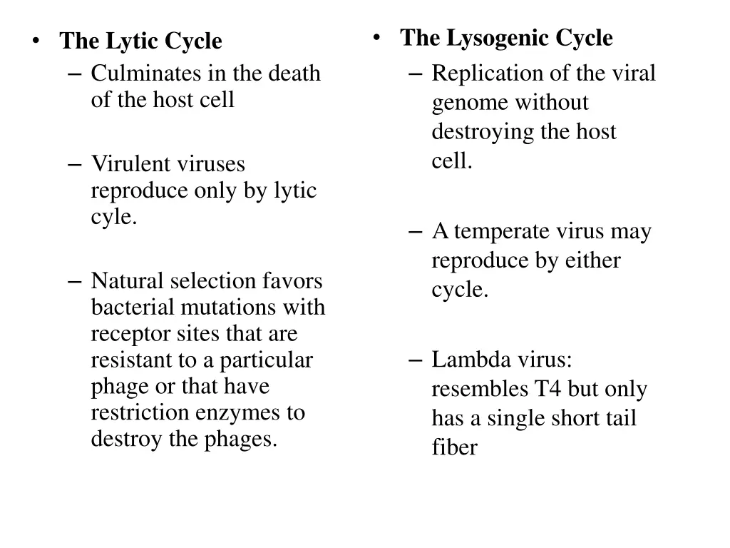 the lysogenic cycle replication of the viral