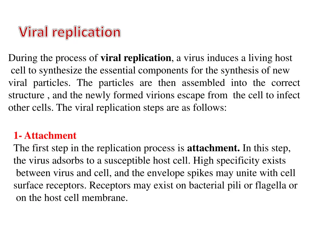 viral replication