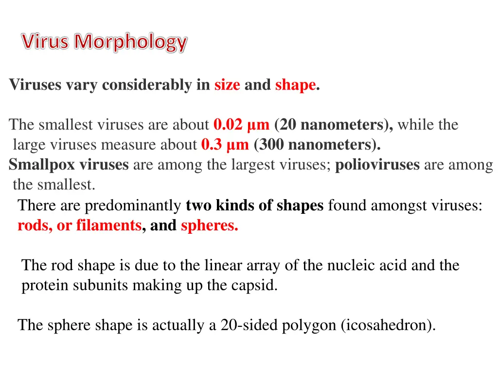 virus morphology