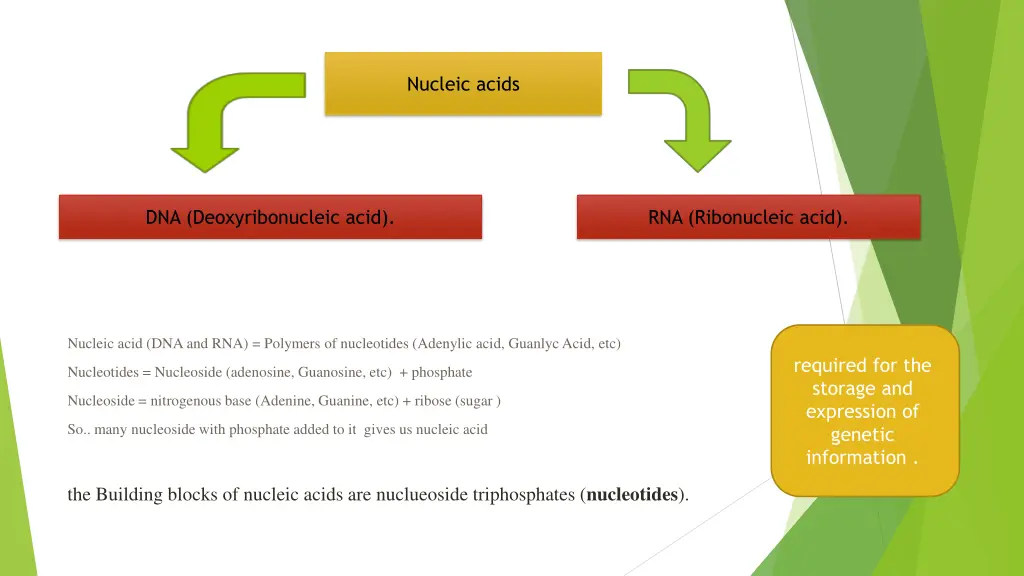 nucleic acids