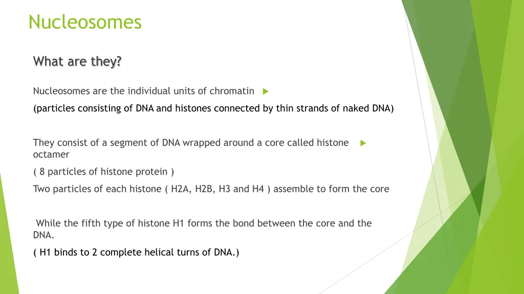 nucleosomes