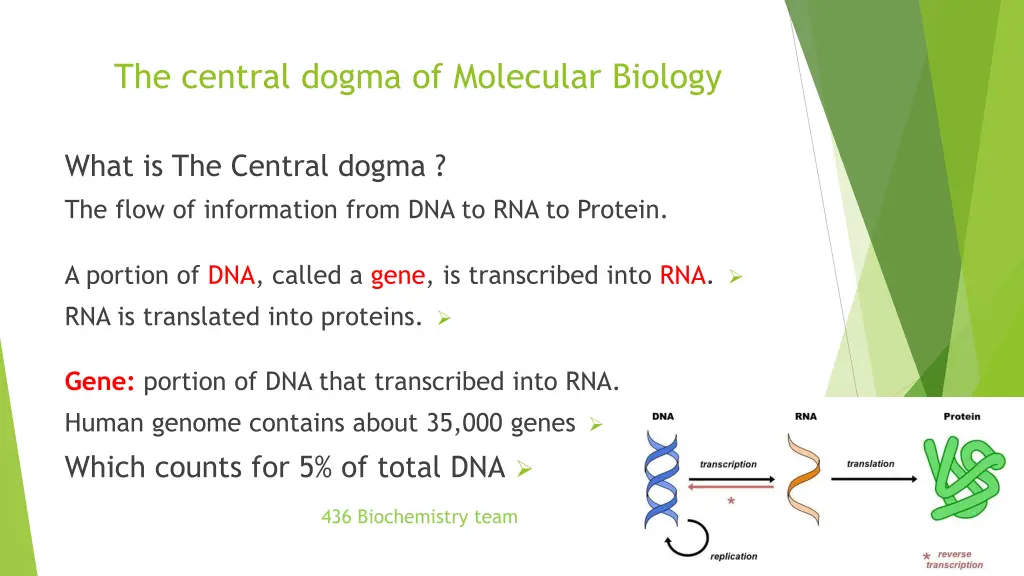 the central dogma of molecular biology