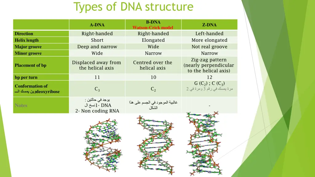 types of dna structure