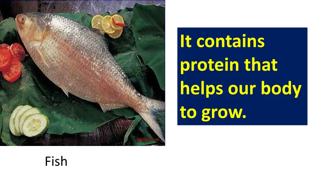 it contains protein that helps our body to grow