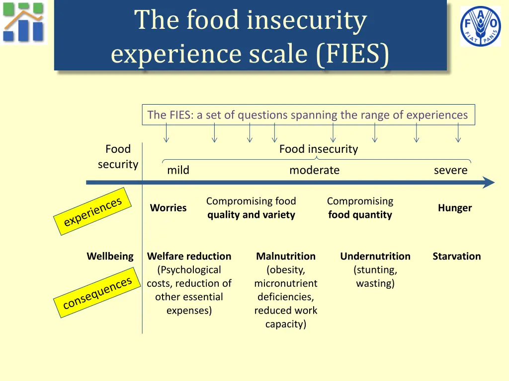 the food insecurity experience scale fies 1