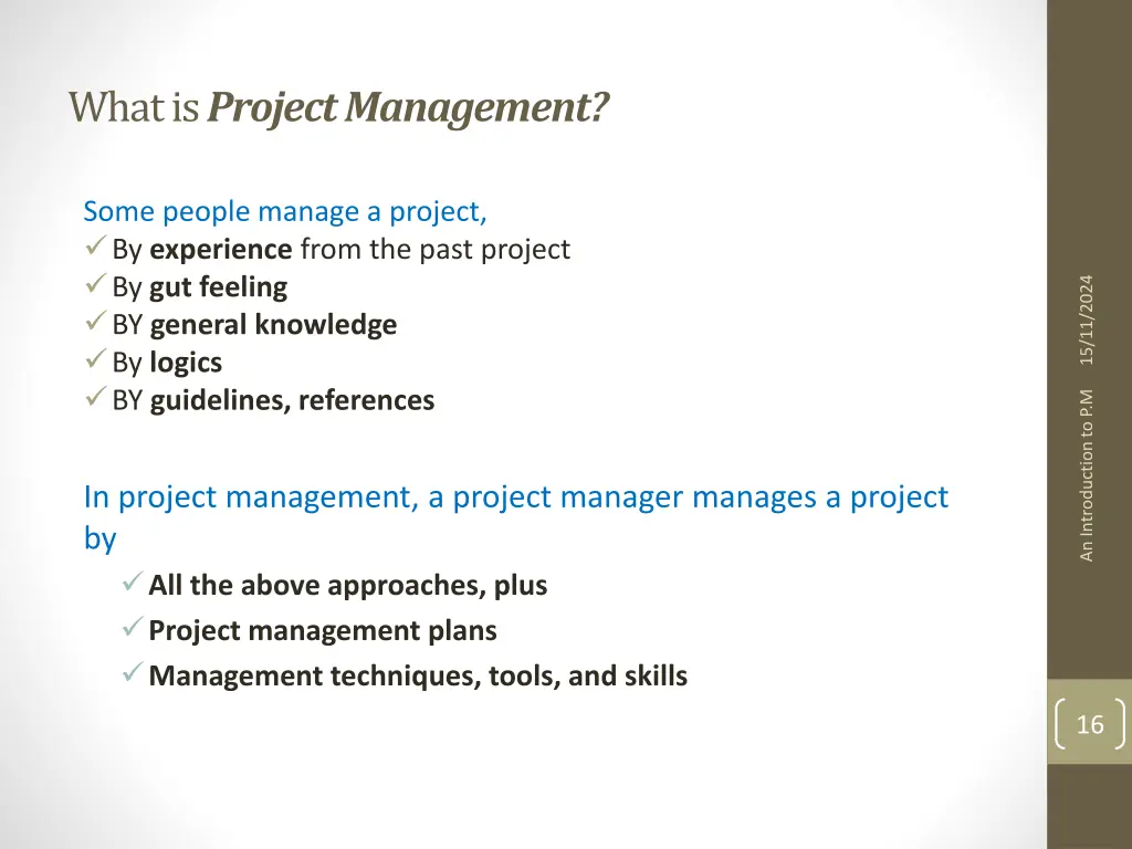 what is project management 2