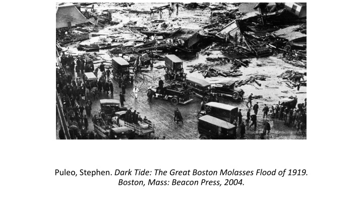 puleo stephen dark tide the great boston molasses