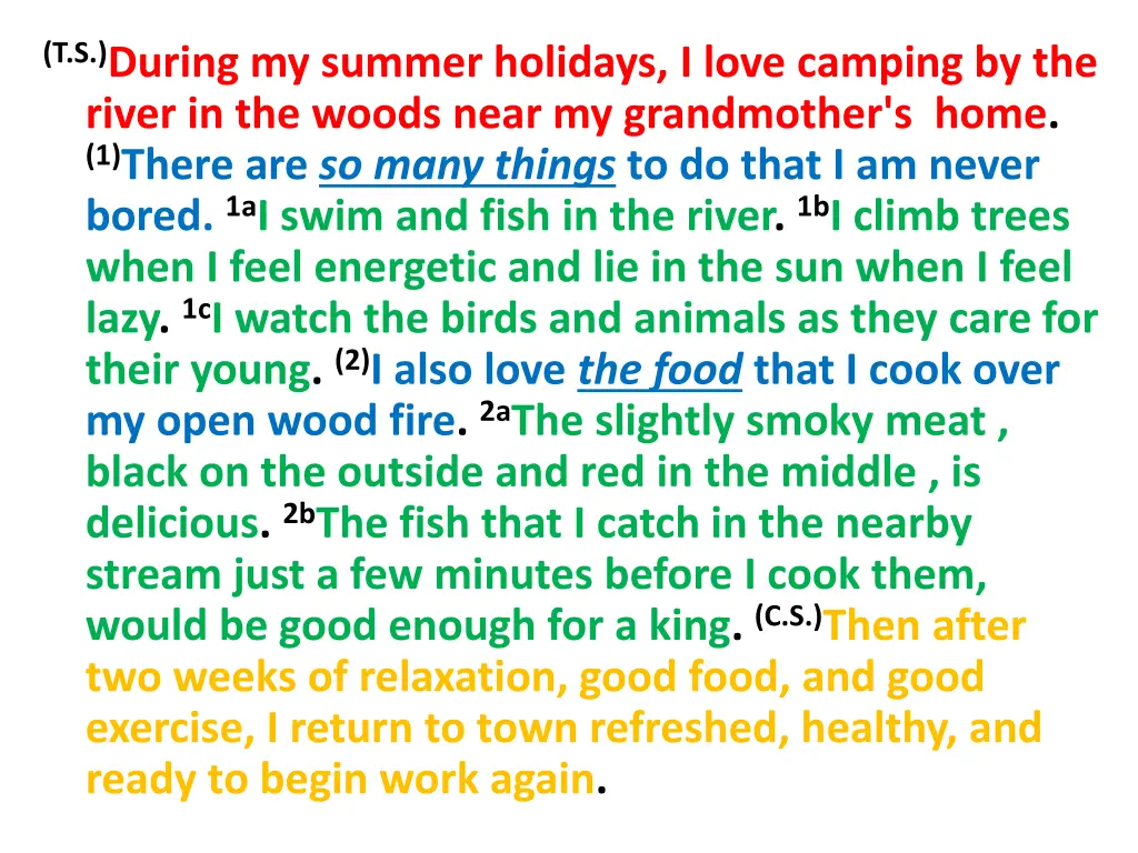 t s during my summer holidays i love camping