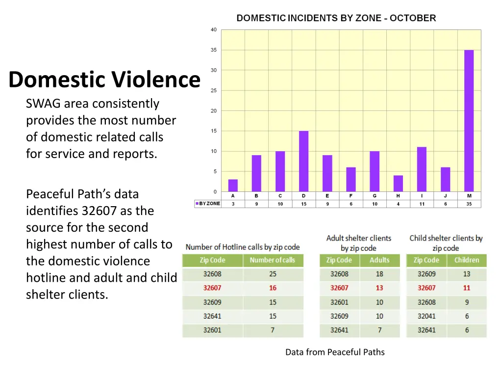 domestic violence swag area consistently provides