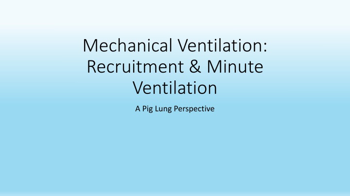 mechanical ventilation recruitment minute