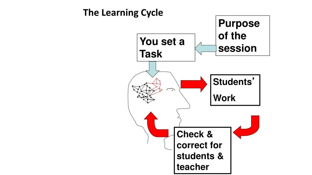 the learning cycle