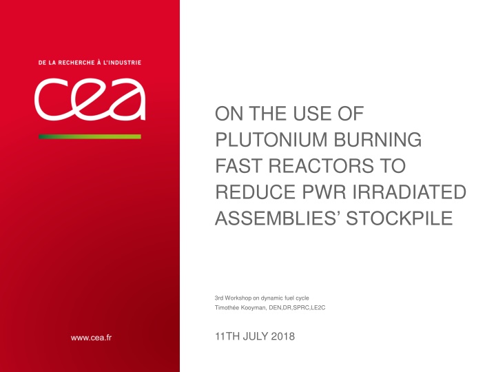 on the use of plutonium burning fast reactors