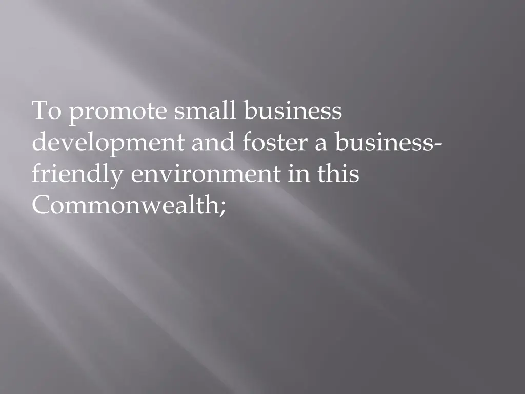 to promote small business development and foster