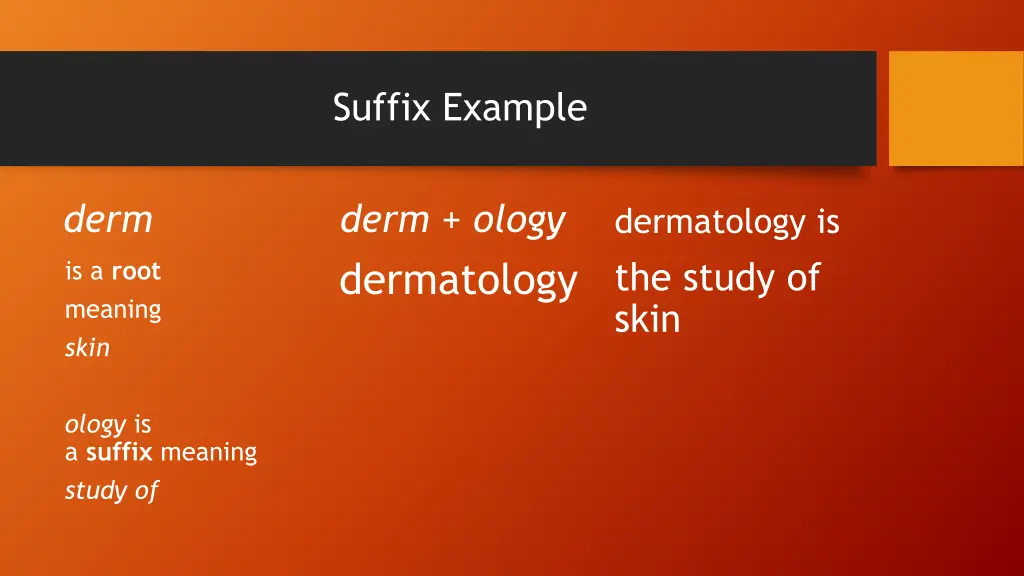 suffix example