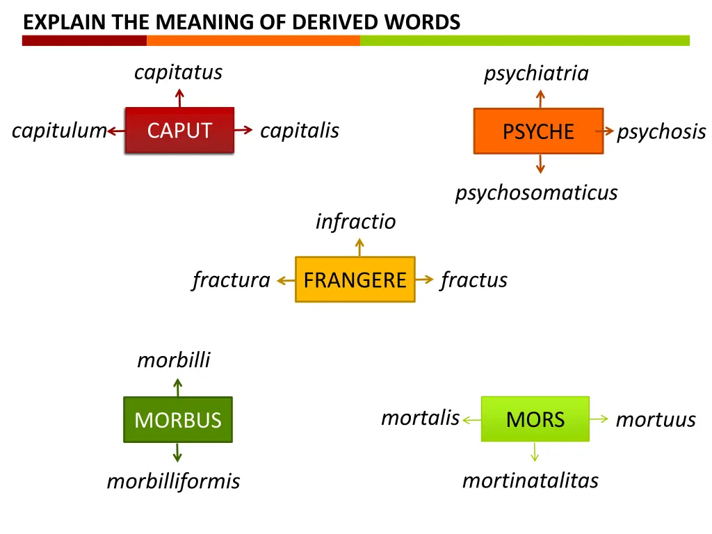 explain the meaning of derived words