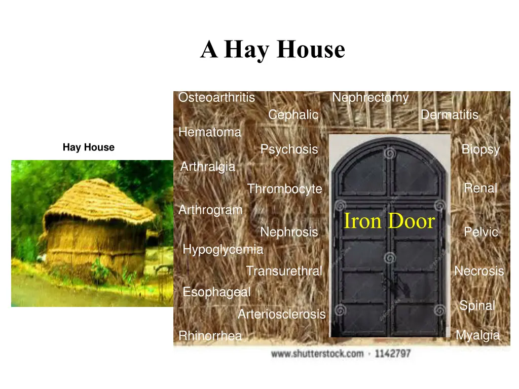 a hay house